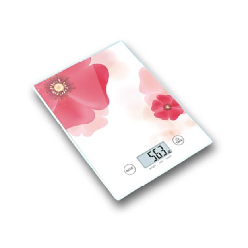 B301-C ������